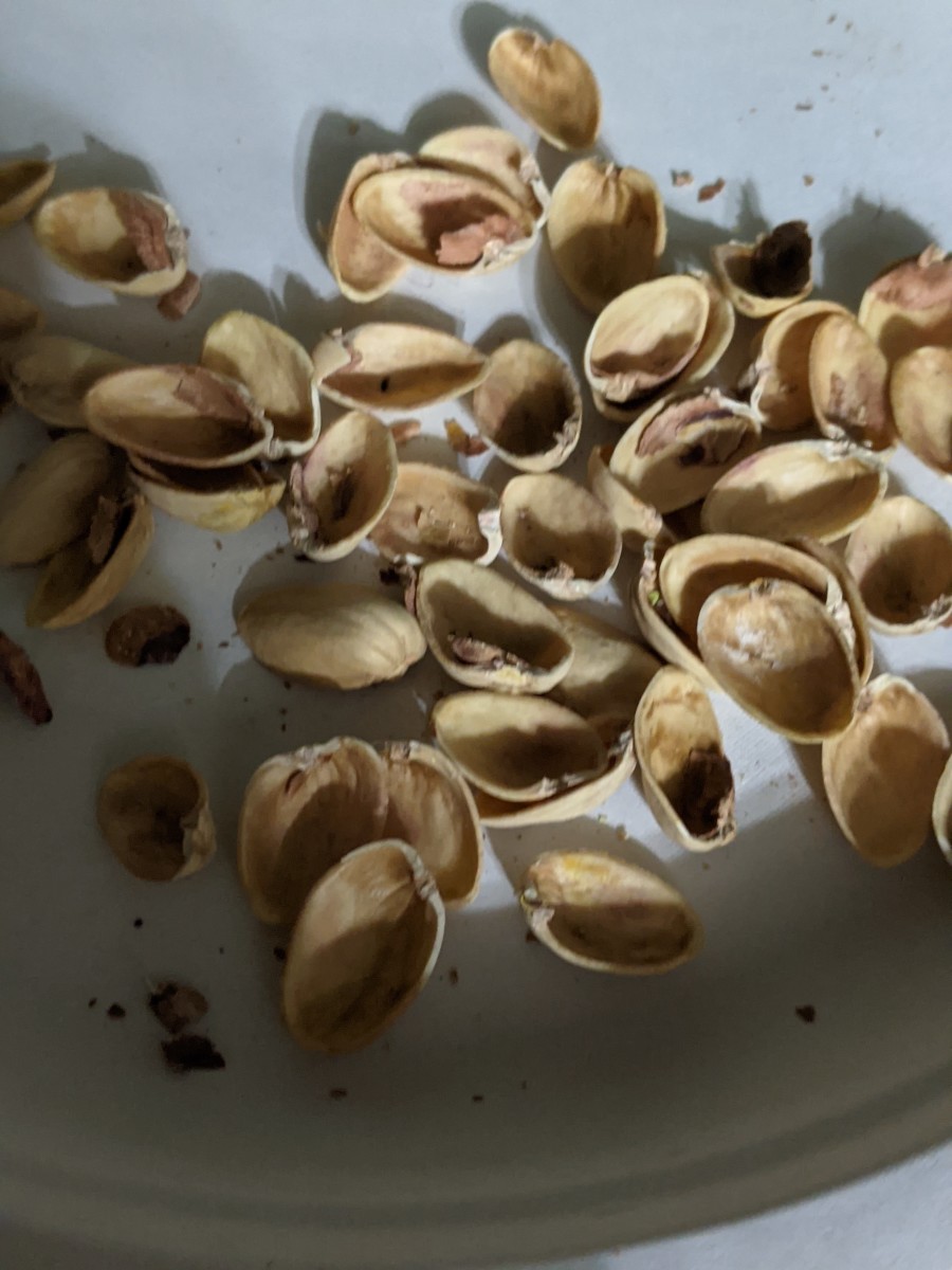 Pistachio Nuts Are My Favorite - Hubpages