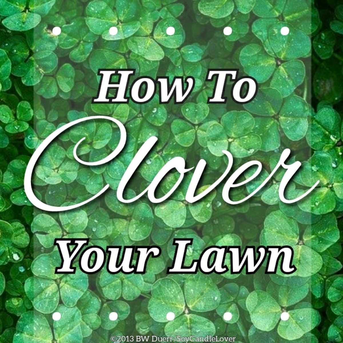 How to clover your lawn.