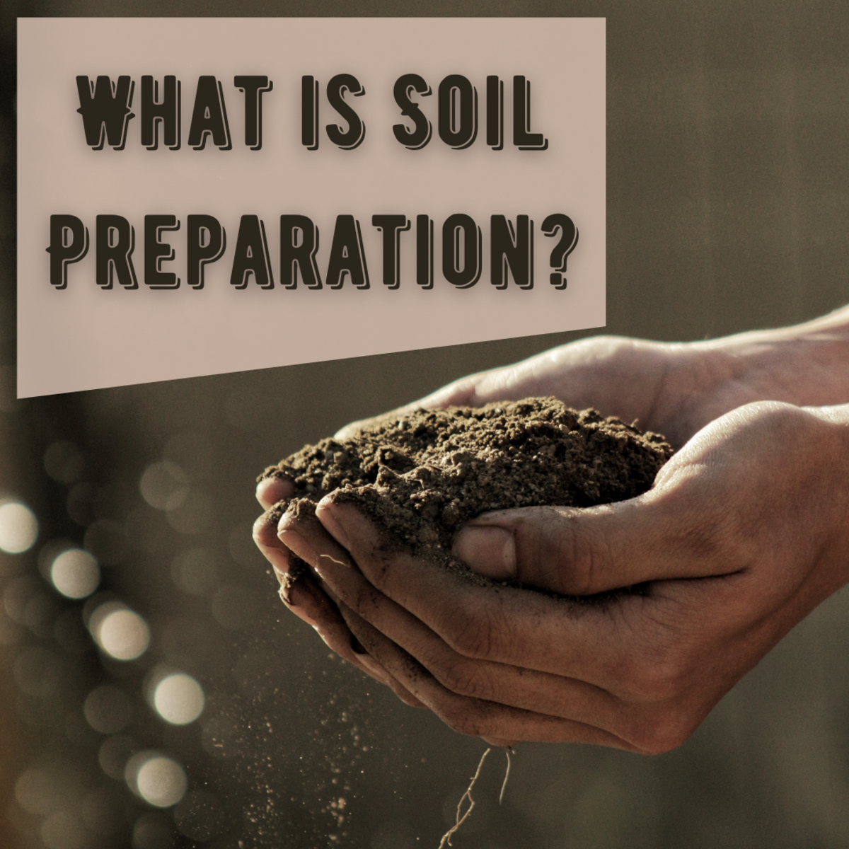 How to Prepare Garden Soil for Planting