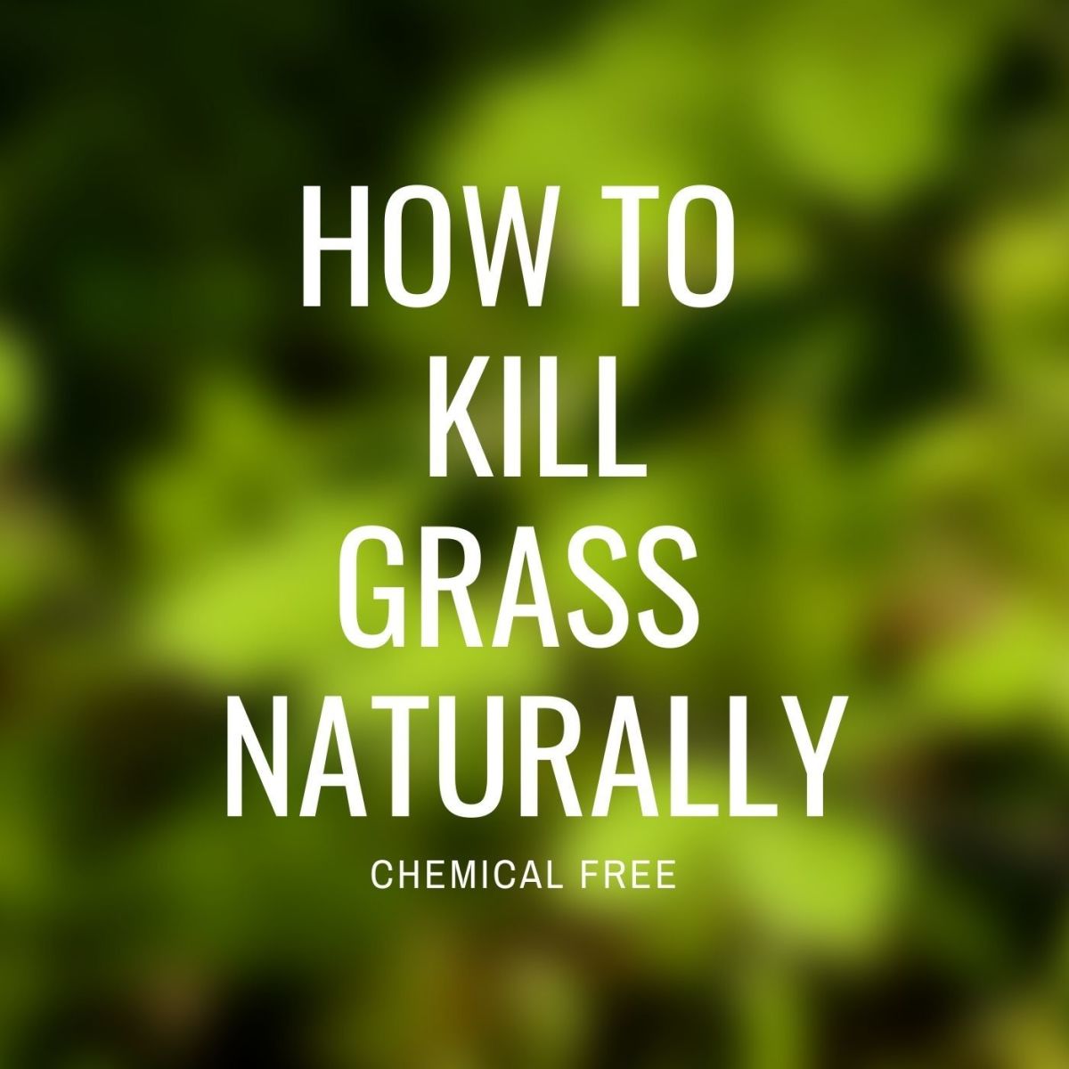 Killing deals grass naturally