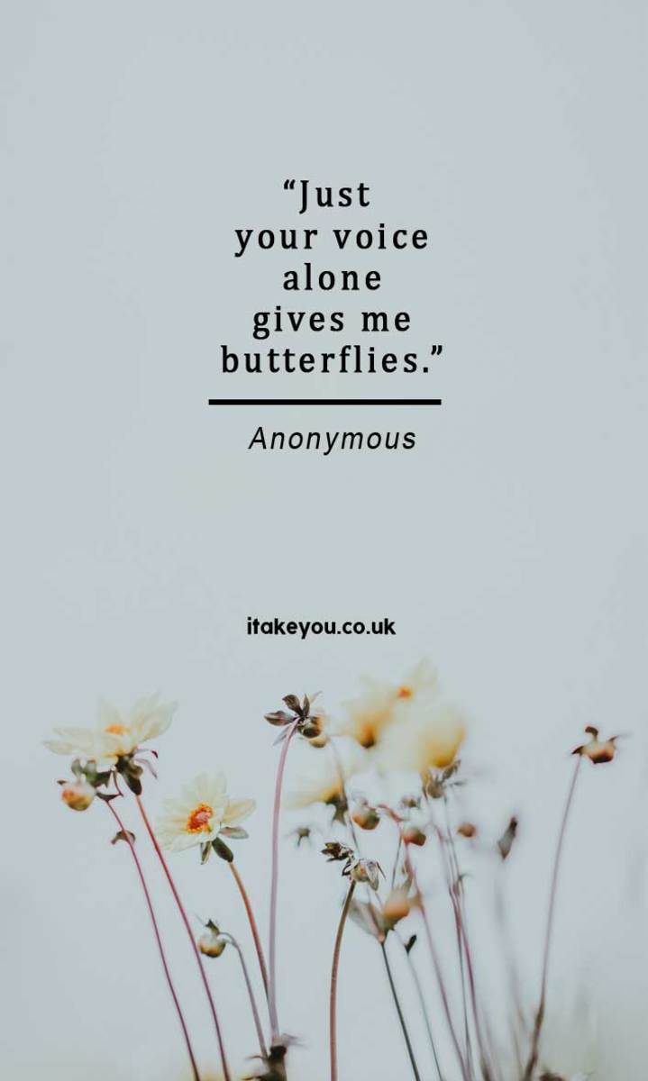 poem-butterfly-feeling