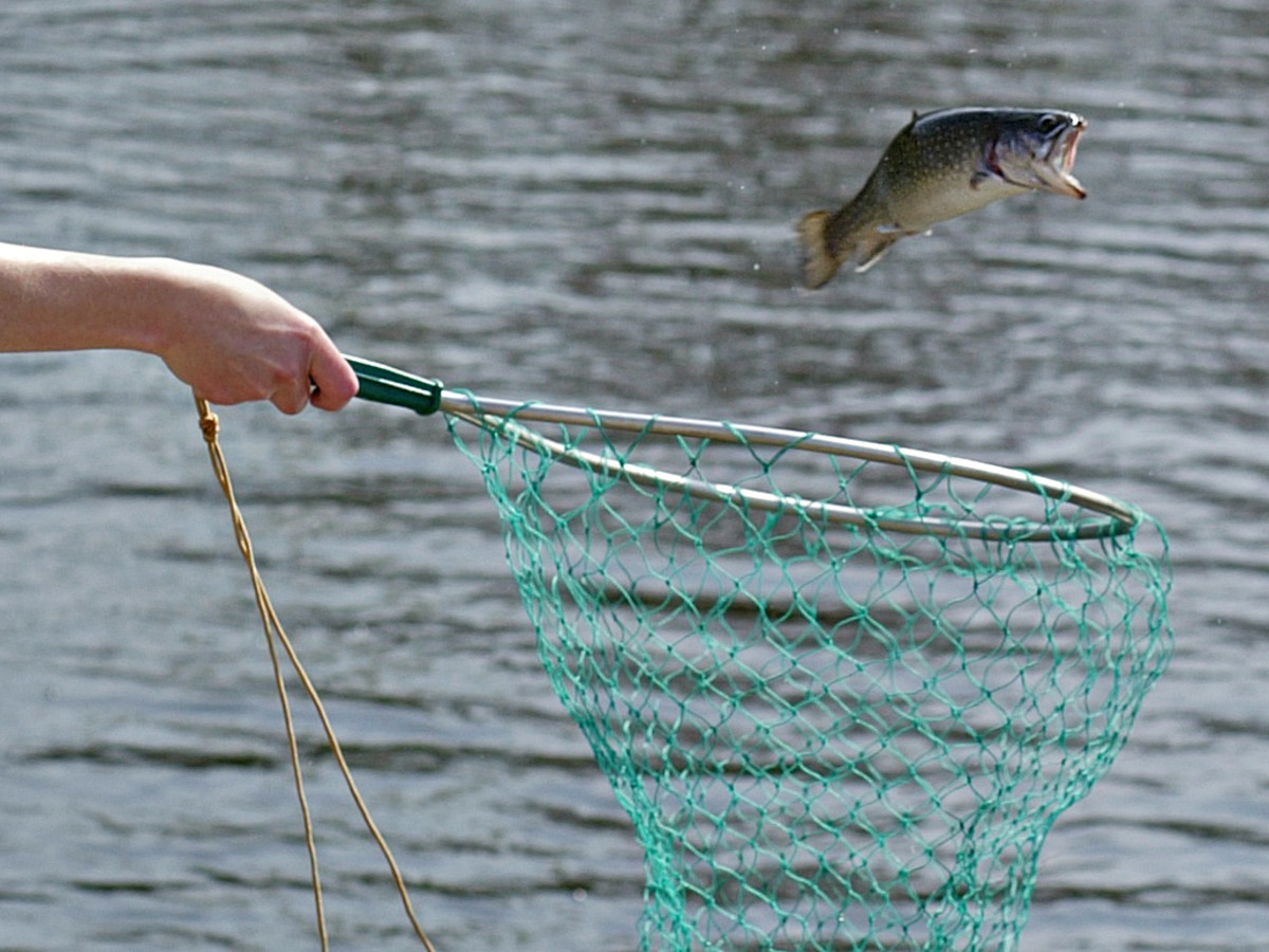 Ловить рыбу большую руками