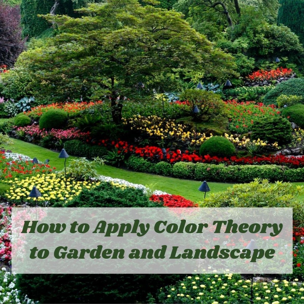 There are three basic principles when talking about color and color theory: the color wheel, color harmony, and context or application of its use.