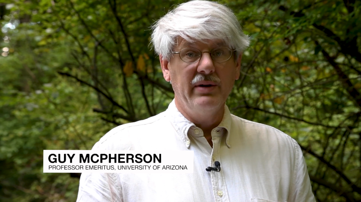 Guy R. McPherson, Ph.D., a former Ecology professor from the University of Arizona,  is a big proponent of the view that humans will soon become extinct due to global warming.