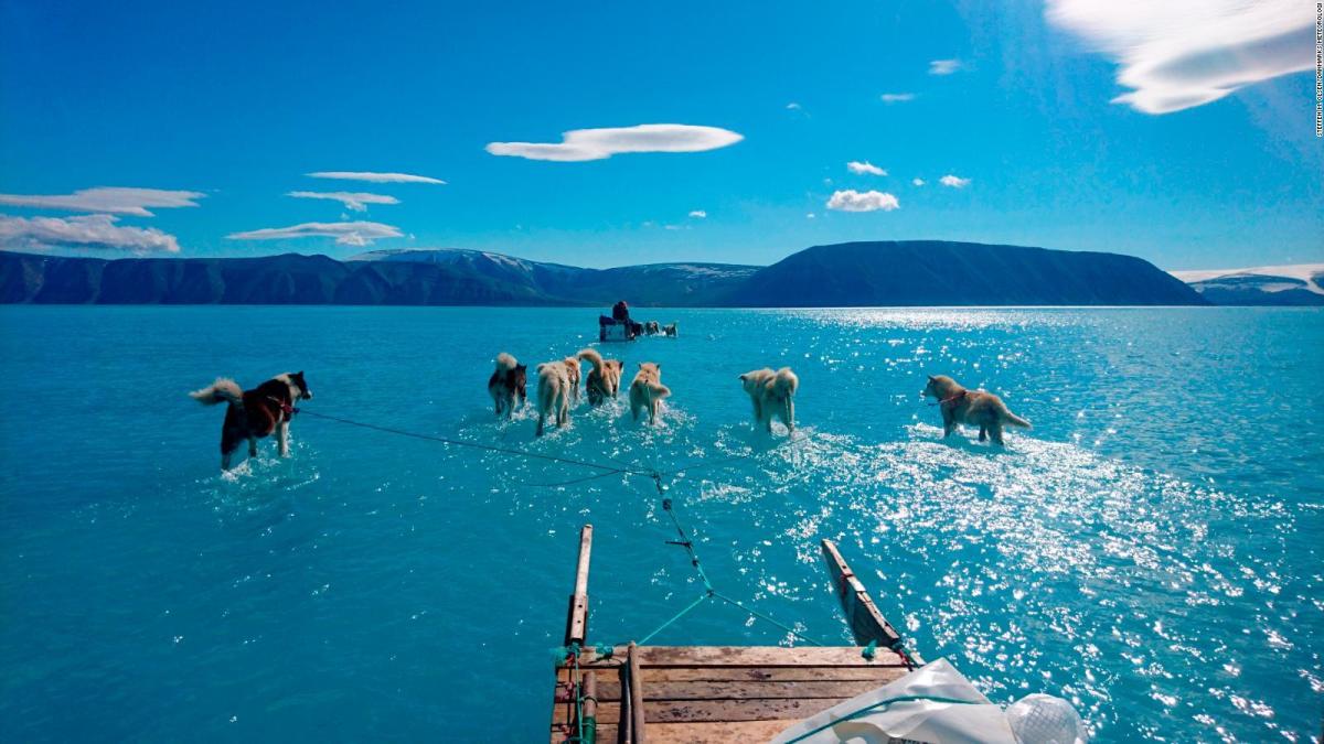 A dog sled crossing a melting ice sheet that has turned into a lake