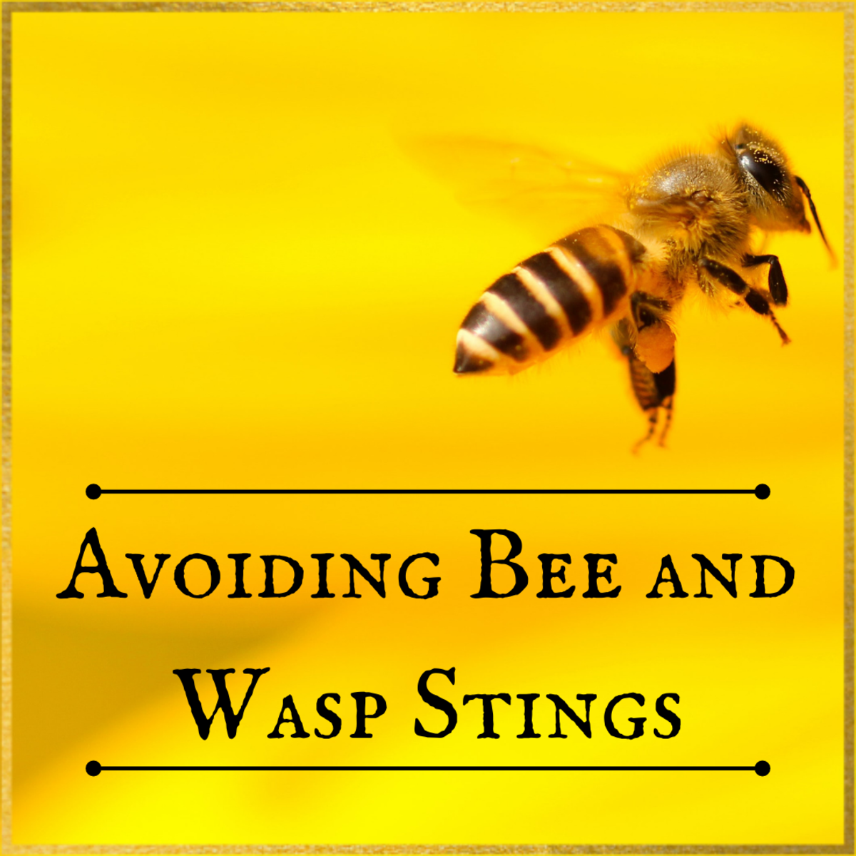 How to Avoid Bee and Wasp Stings - Dengarden