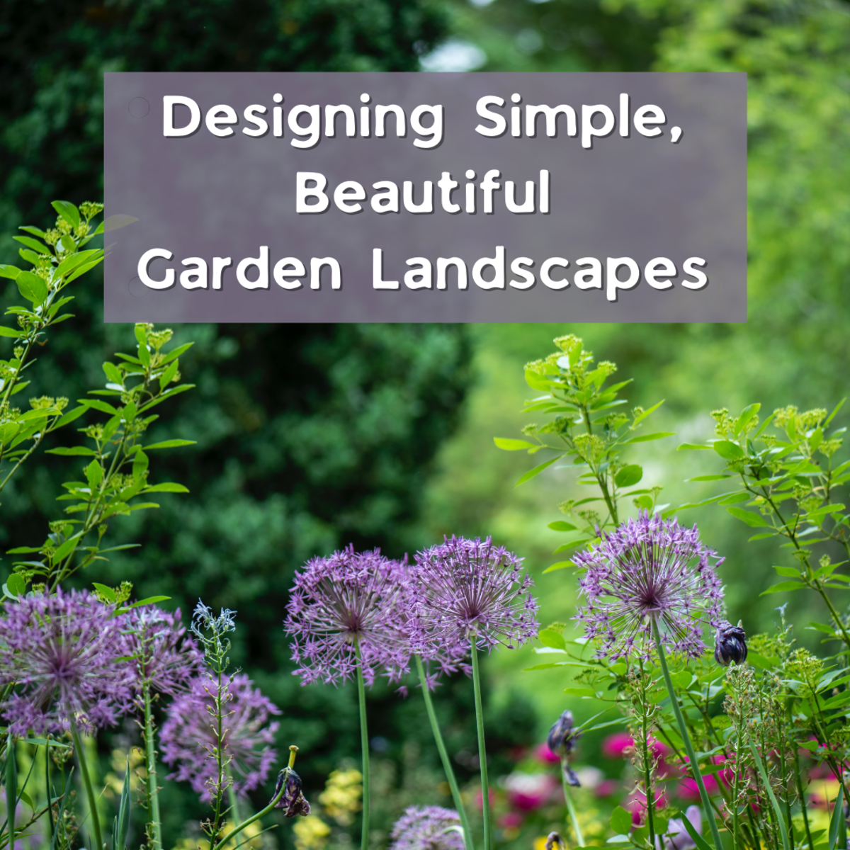 Learn how to design and plan a simple landscape for your garden, including garden exposure, choosing suitable plants, and more!