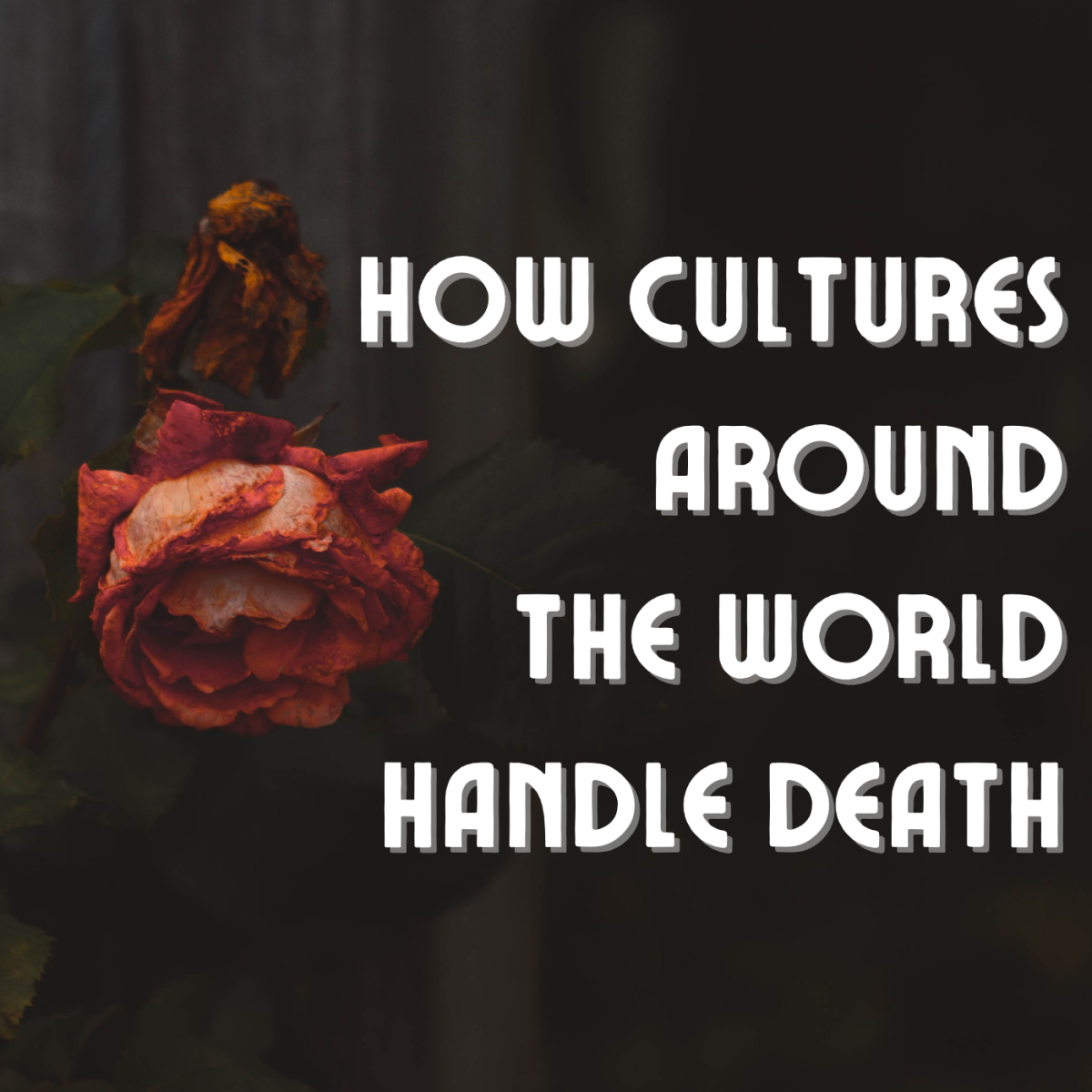 Death can be a celebration of life, or a means to help the soul pass—how do different cultures deal with death?