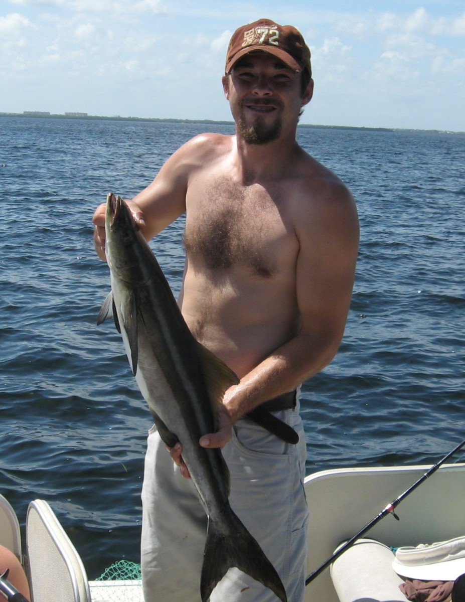 I landed this cobia while Florida flats fishing.