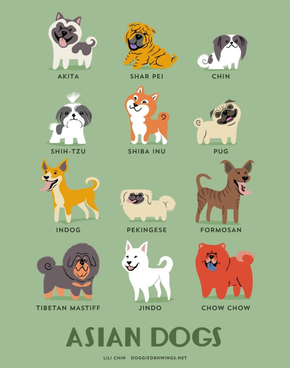 Strongest Dog Breeds That Originated From Asia