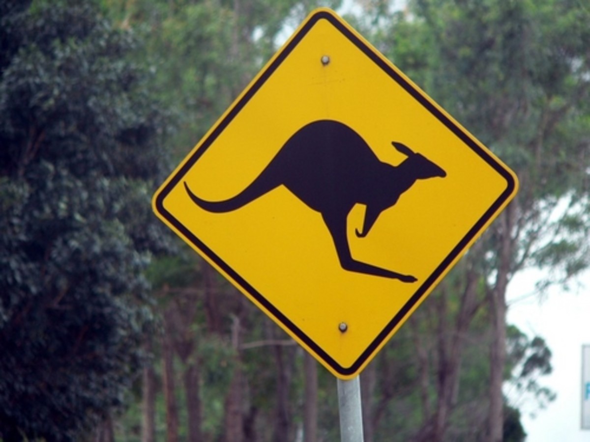 the-most-unusual-and-amusing-traffic-signs-from-around-the-world