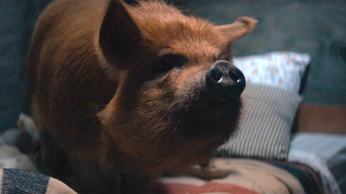 Pig (2021) Movie Review - HubPages