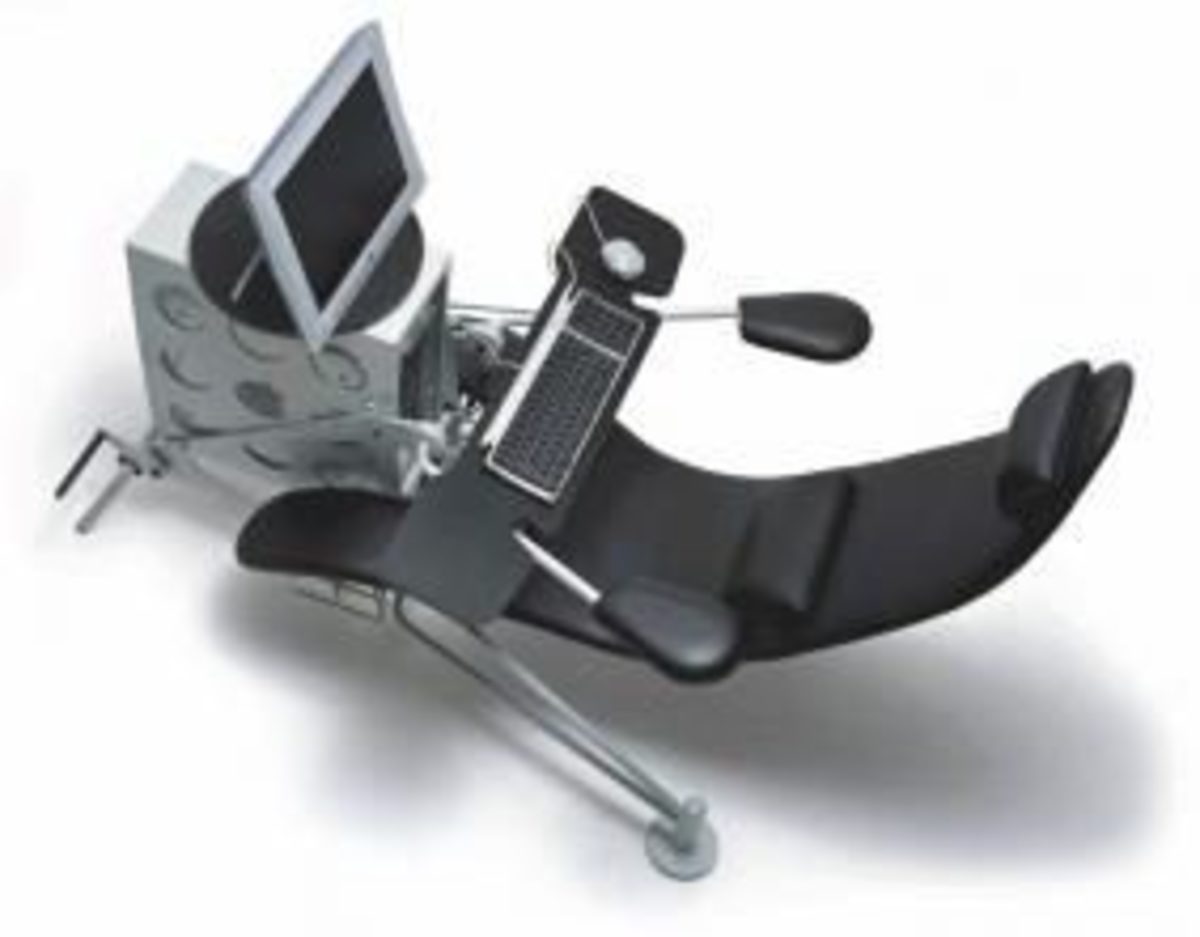Netsurfer Ergonomic Computer Chair