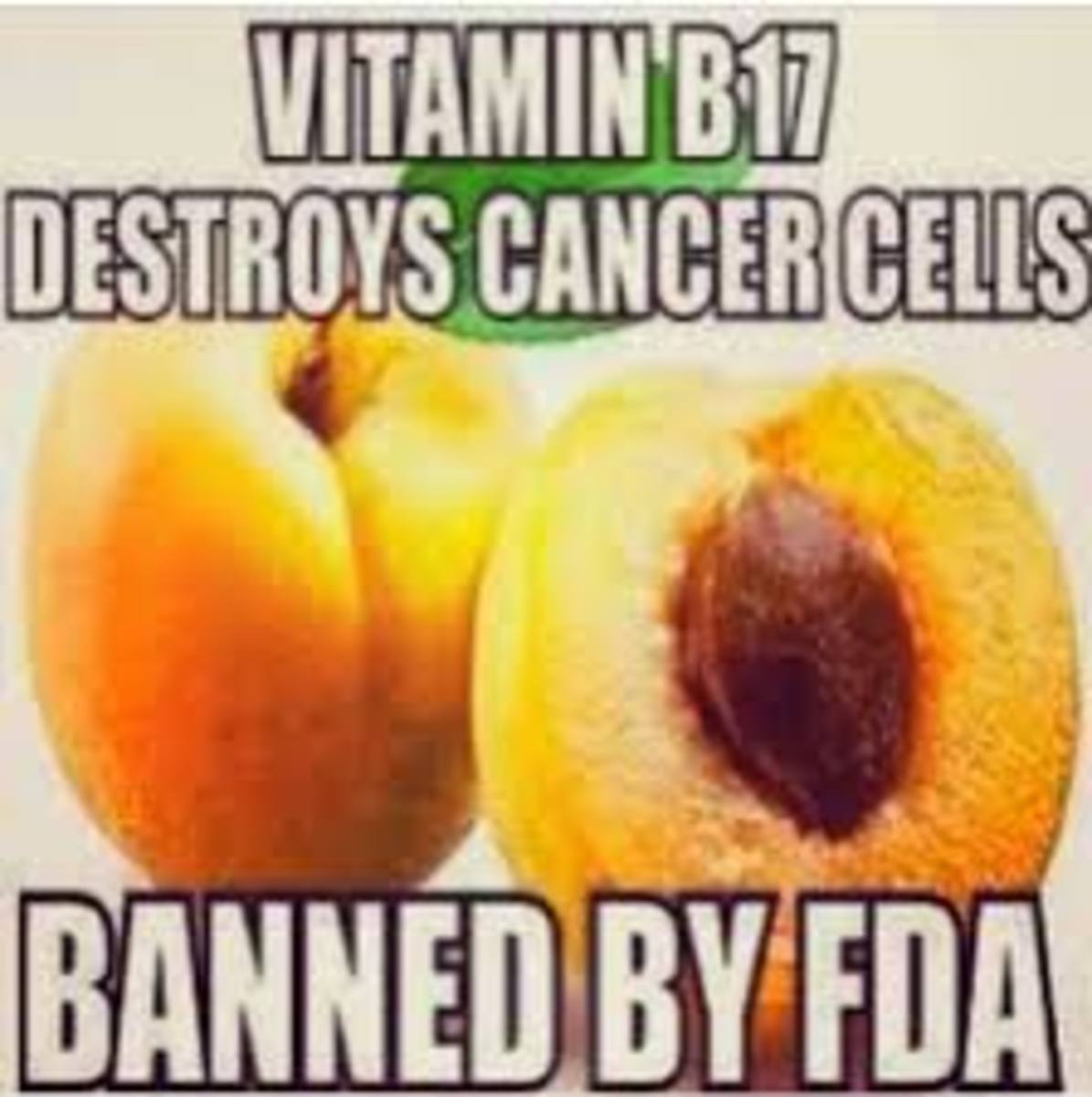 Vitamin B17 Kills Cancer