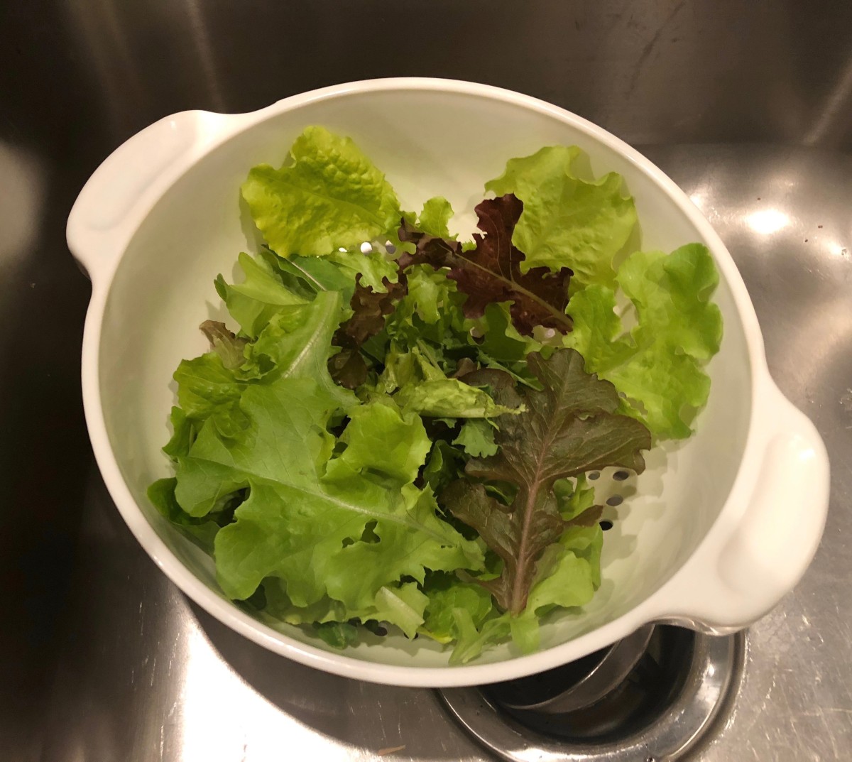 Lettuces are one of my favorite things to grow in late autumn, winter, and spring. The cooler weather is perfect for growing the delicious greens.