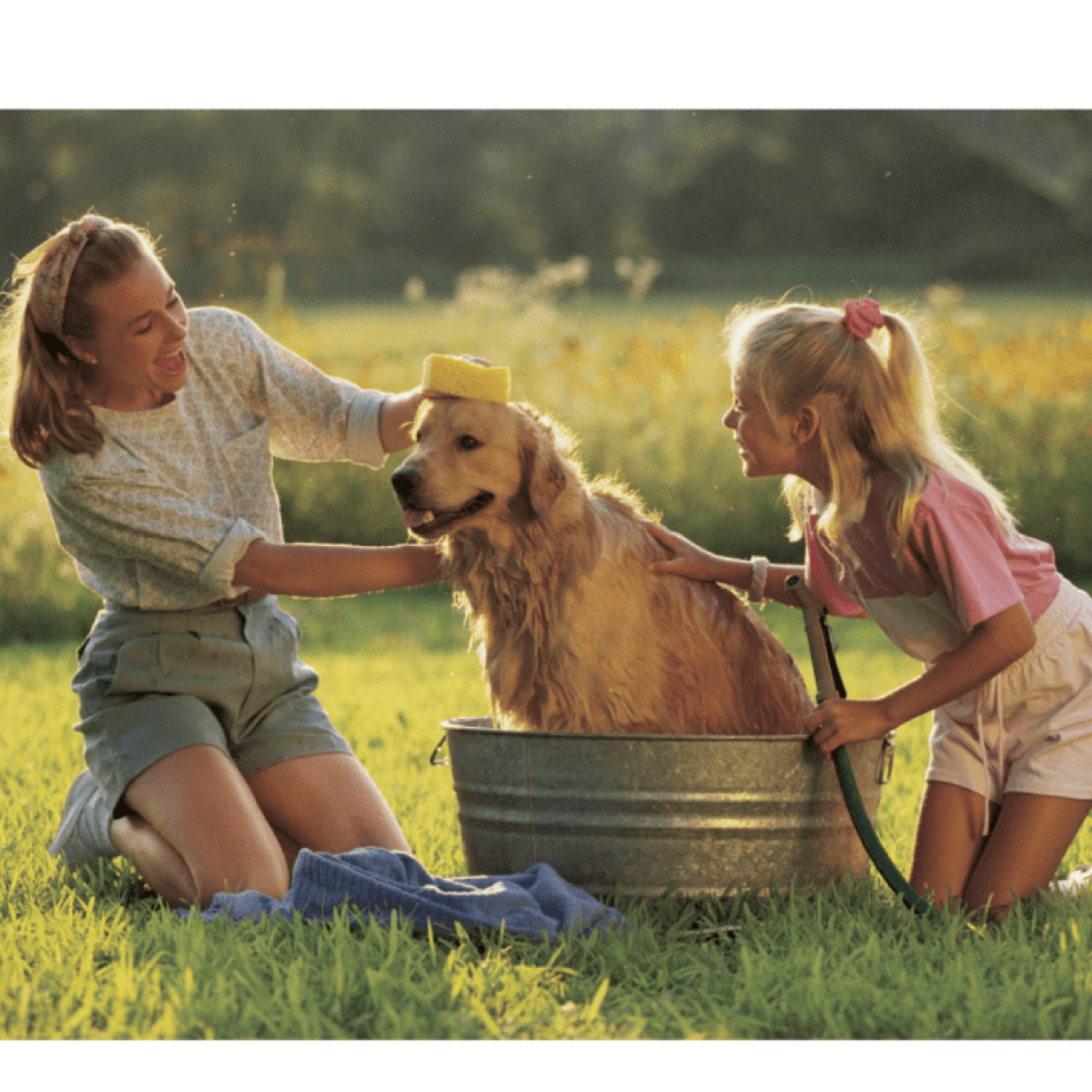 A Guide to Giving your Dog a Bath at Home HubPages