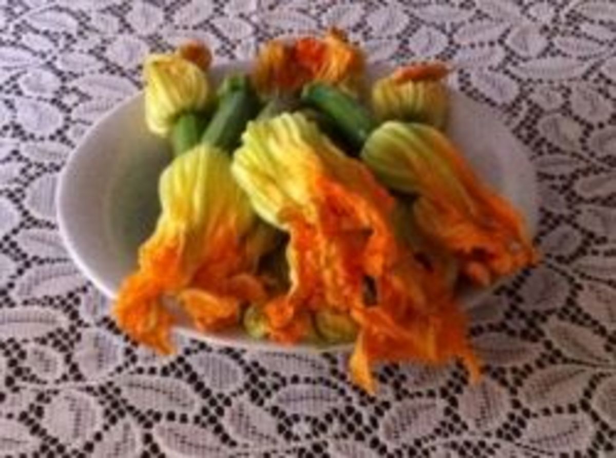 zucchini-flower-fritters