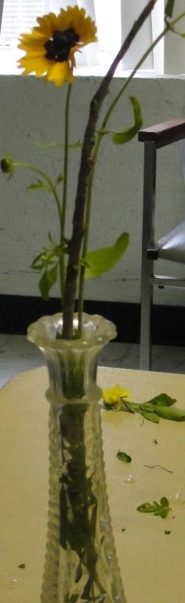 The Art of Floral Arrangements: Ikebana