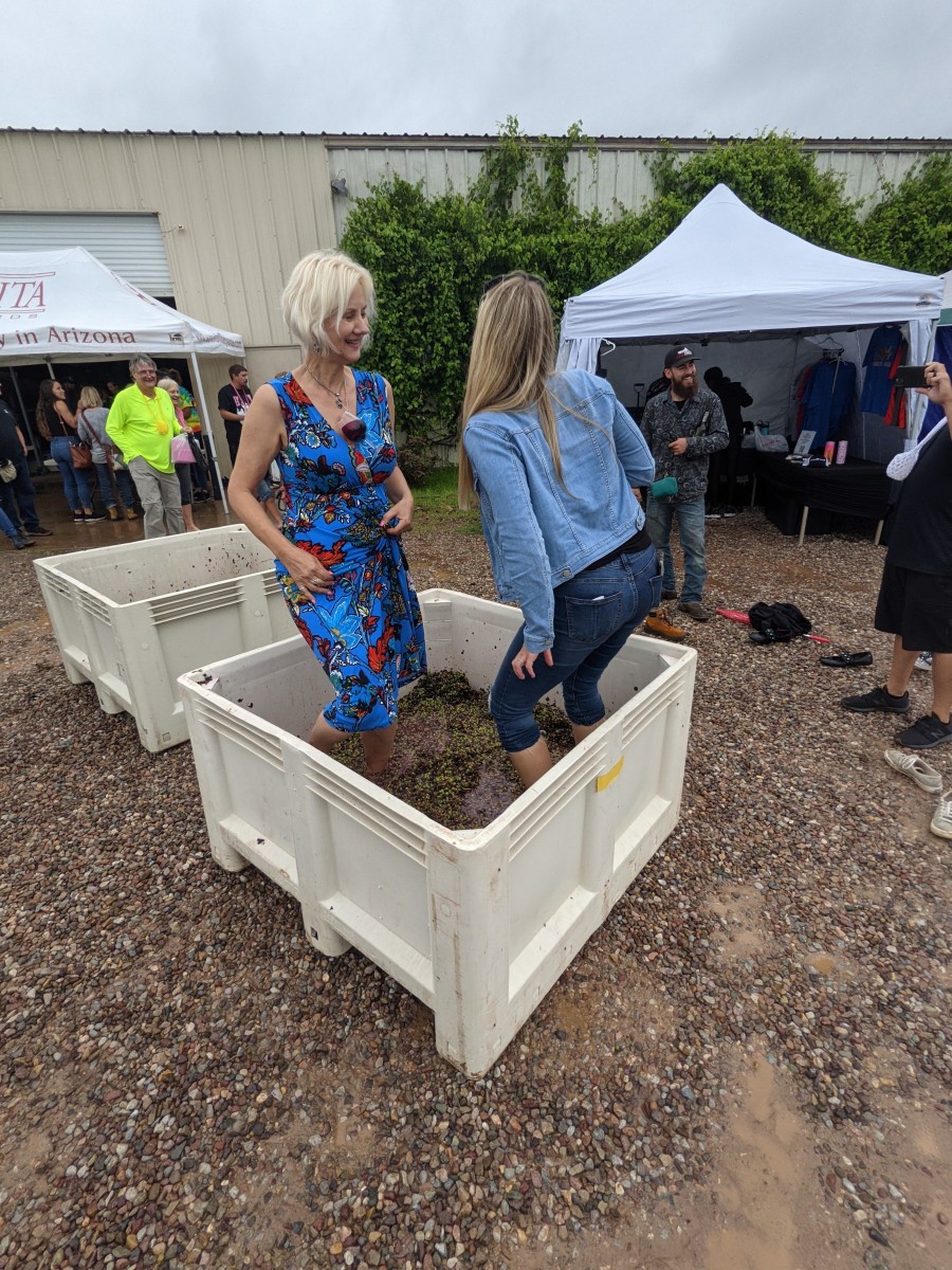 Americus grape stomp highlights agriculture