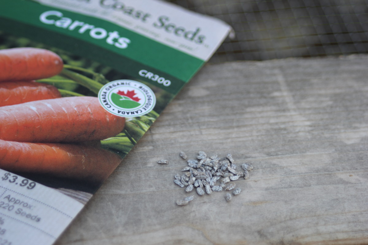 Preserving Your Garden Seeds for Years to Come