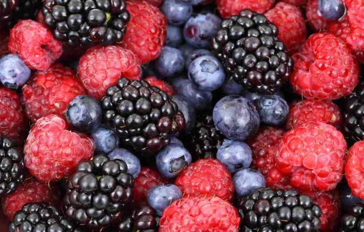 14-best-fruits-for-weight-loss