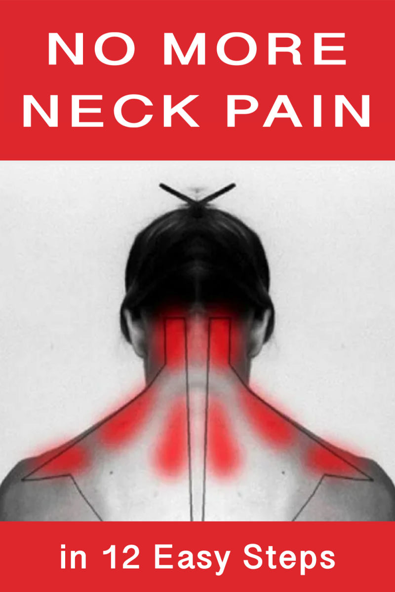 The upper back and neck muscles are connected to those of the shoulders.