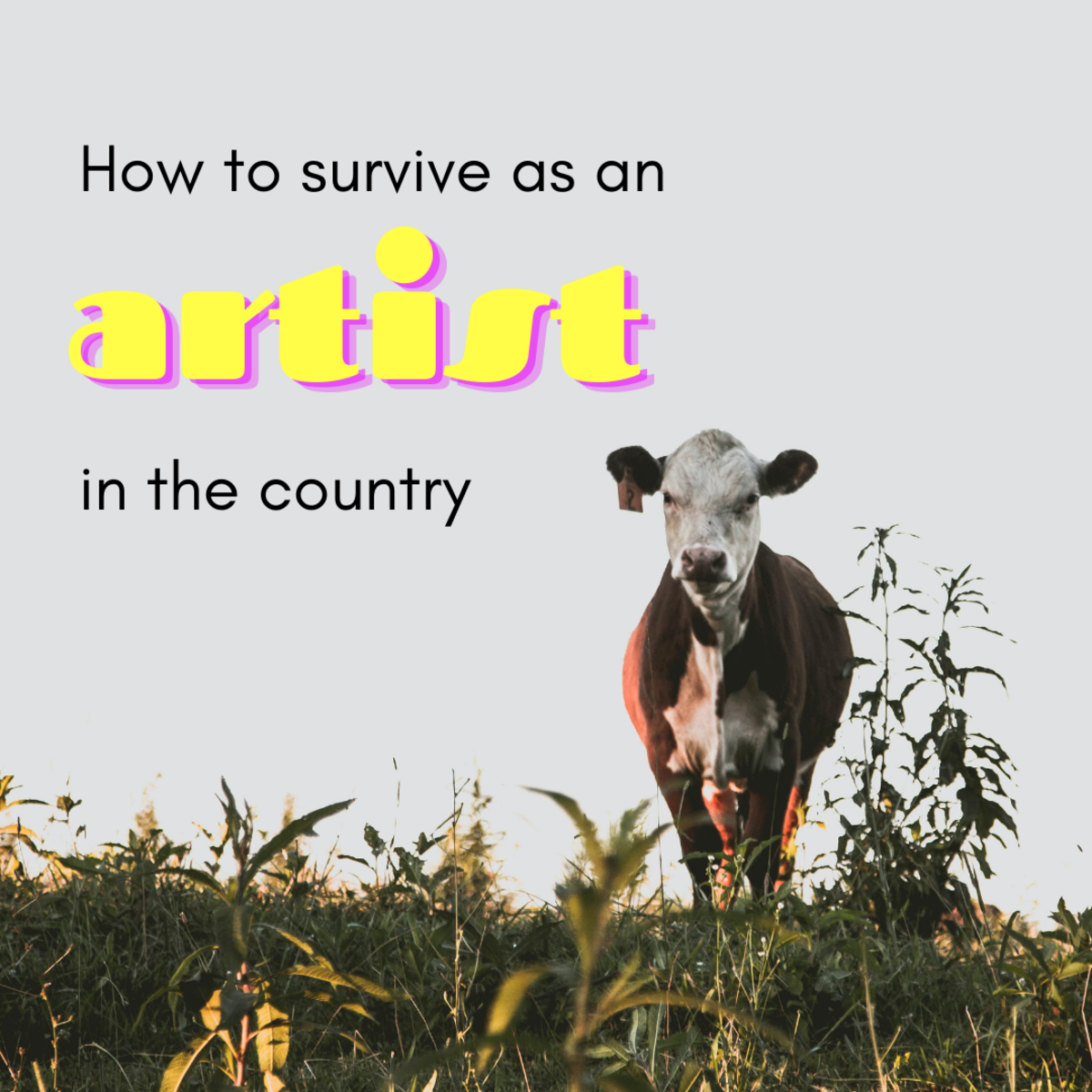 10 Tips for a Creative Type Living in a Rural Town