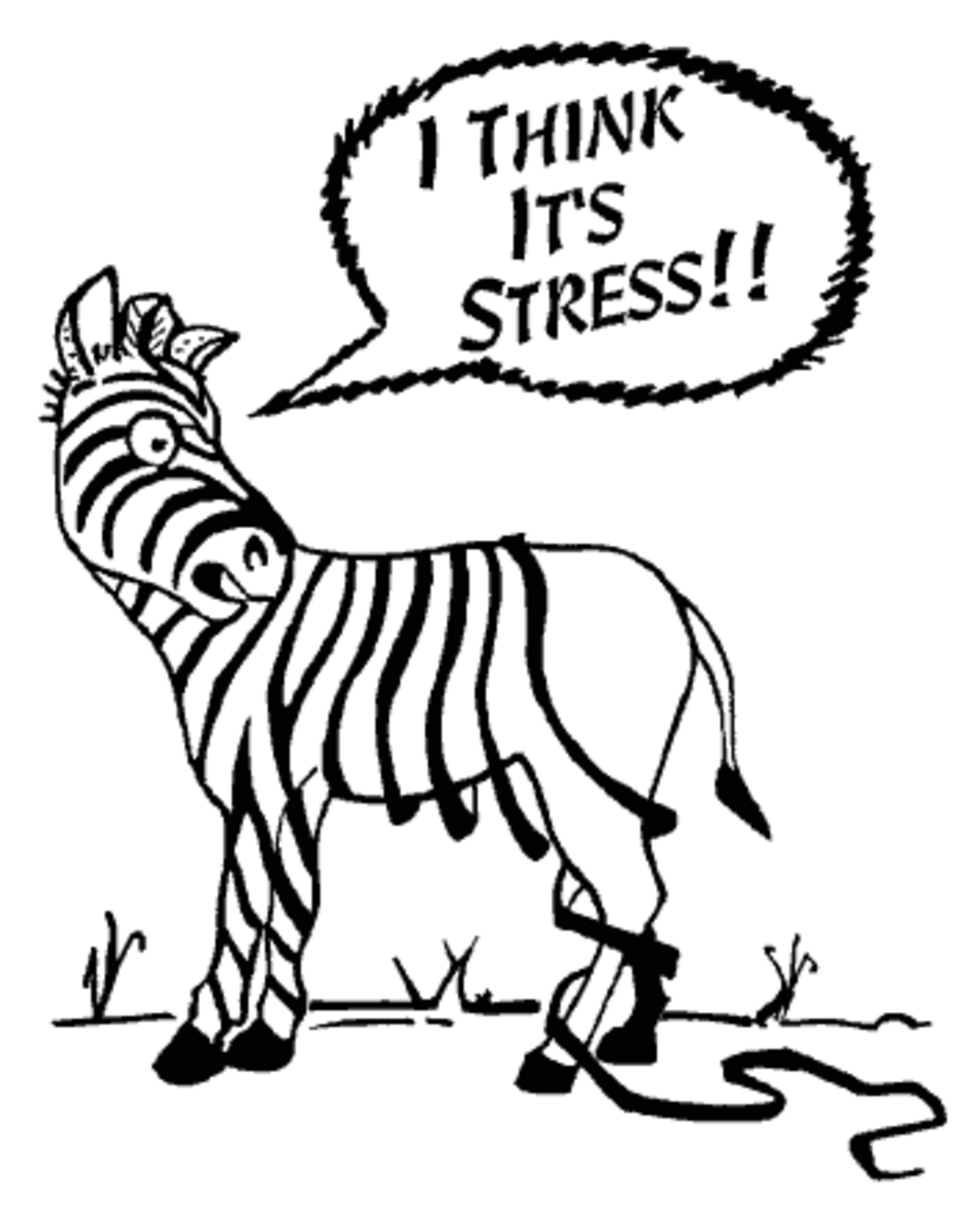 Fortunately losing stripes isn't a symptom of stress, in humans at least.