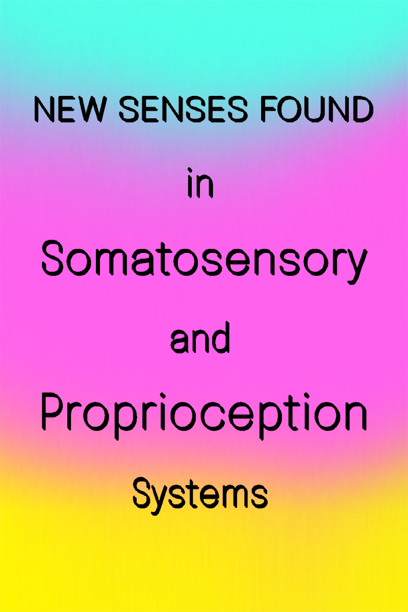More Than Just Five Senses in Your Complete Sensory System