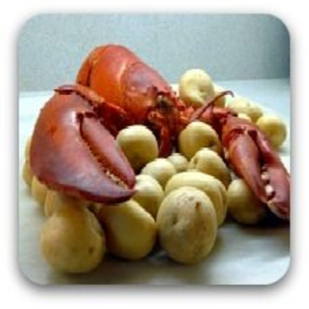 lobster-salad-recipe