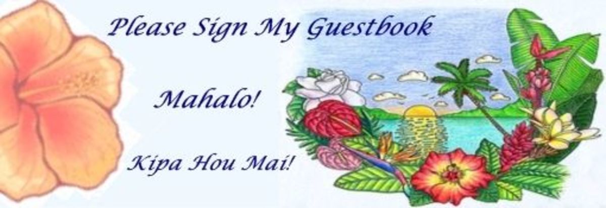 Please leave a comment in the guestbook