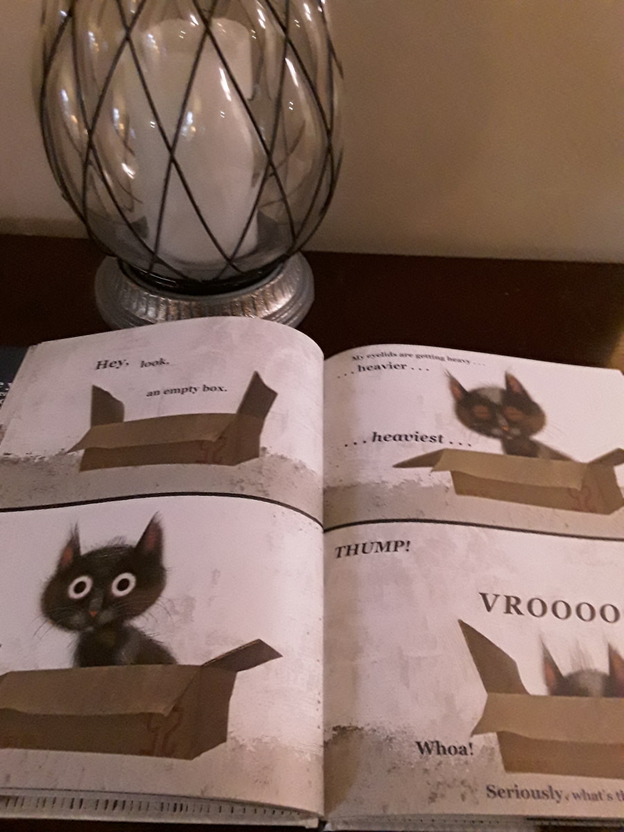 cats-and-their-adorable-quirky-behavior-in-hilarious-picture-book-for-young-readers-and-pet-parents