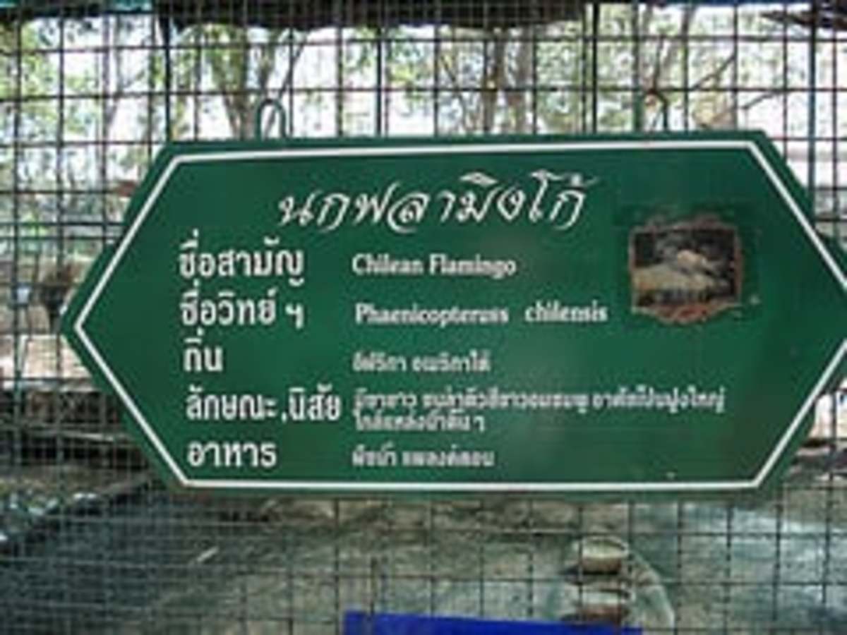 chai-nat-national-bird-park