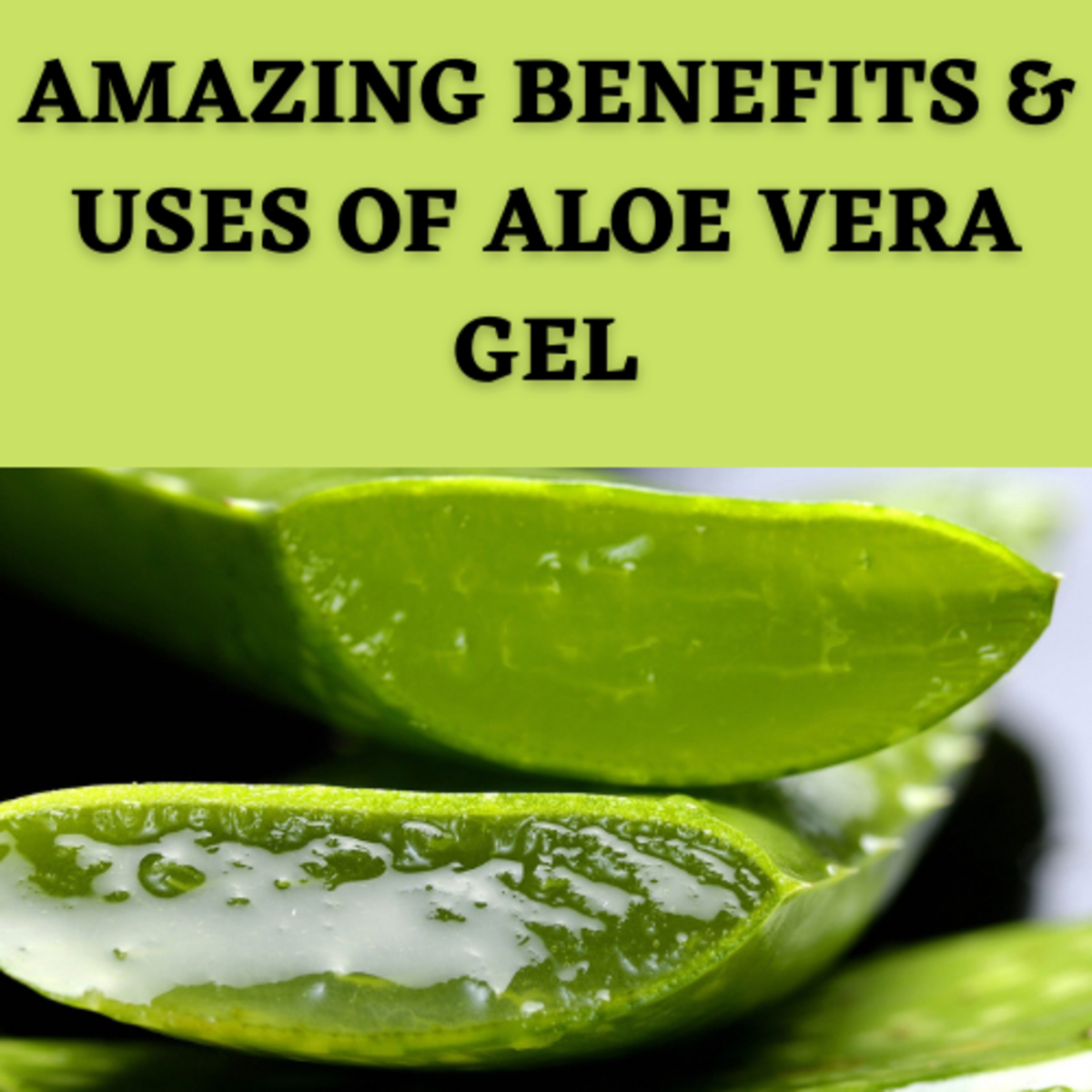 Amazing Benefits and Uses of Aloe Vera Gel