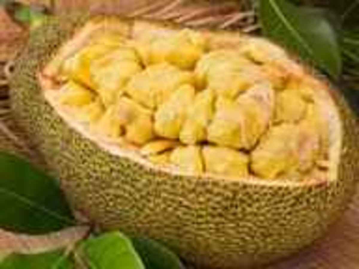 Does Eating Jackfruit Increase Weight?