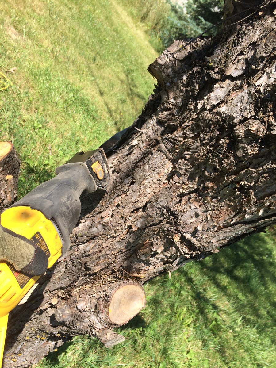 cutting-trees-down-with-ease