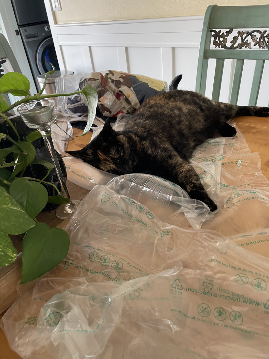 Minerva deserves the cat's share of the credit for helping me find "A Perfect Day for Bananafish."  Still...if she'd sleep at night she wouldn't have to nap on packing material all afternoon.