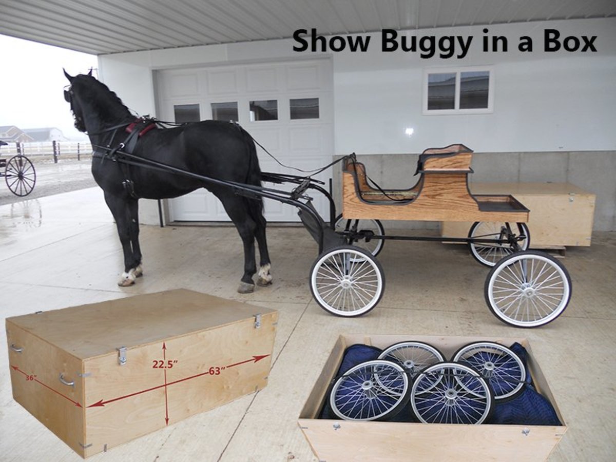 show-horse-buggy-in-a-box-collapsible-buggy-complete-with-travel-crate