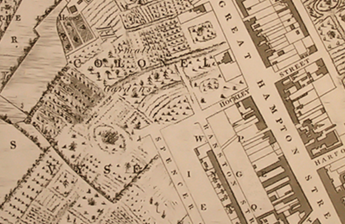 1828年的皮戈特-史密斯地图显示，在这张照片的左中下方有一个标有“Vyse”的区域，上面是一个看起来像建筑的土堆。这是在霍克利丢失的伯明翰城堡吗?