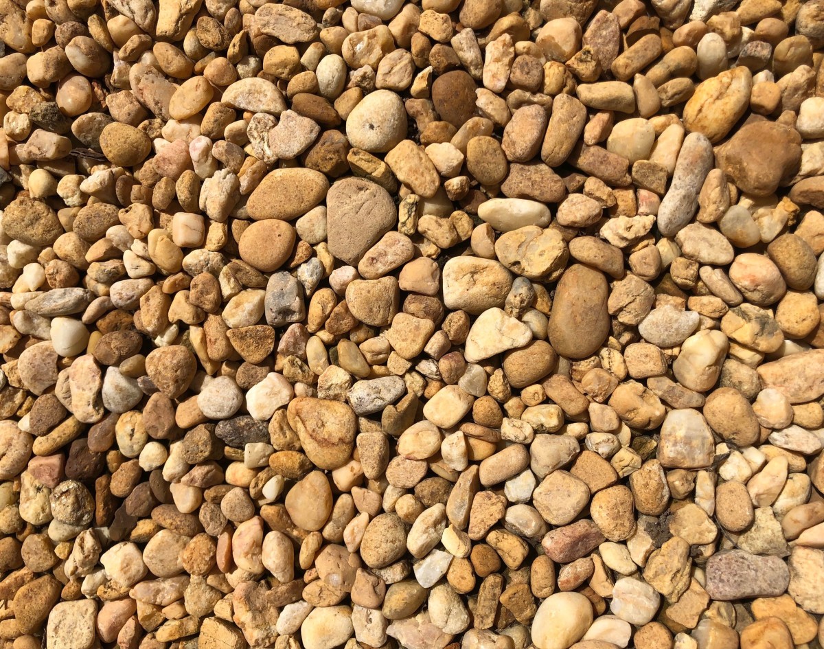 Of all the rocks used in place of real mulch, I think river rocks are the prettiest. Still they can be deadly for plants with shallow roots.