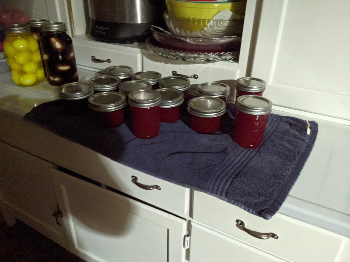 plum-jelly-from-windfall-fruit