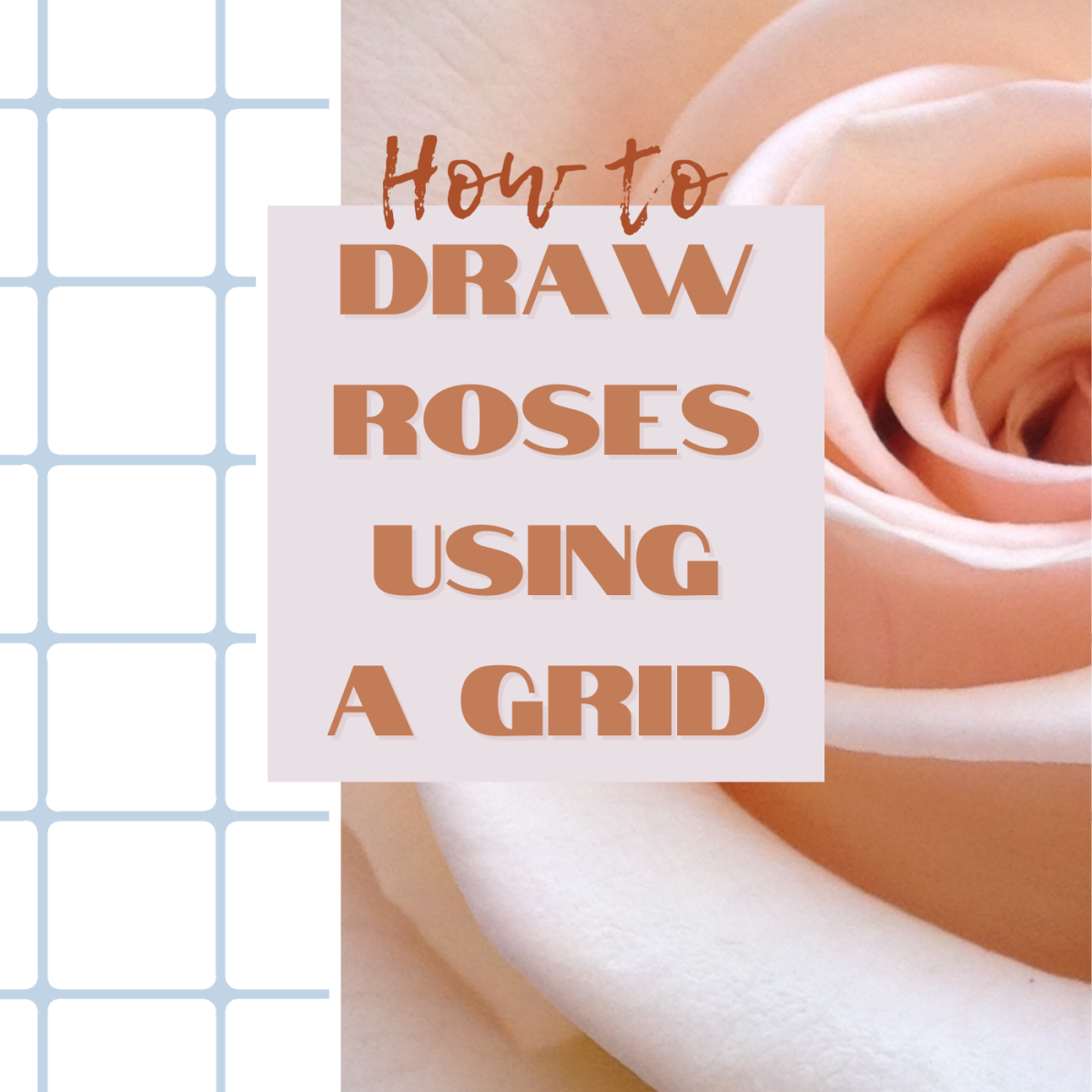 Learn how to use a grid to draw realistic roses.