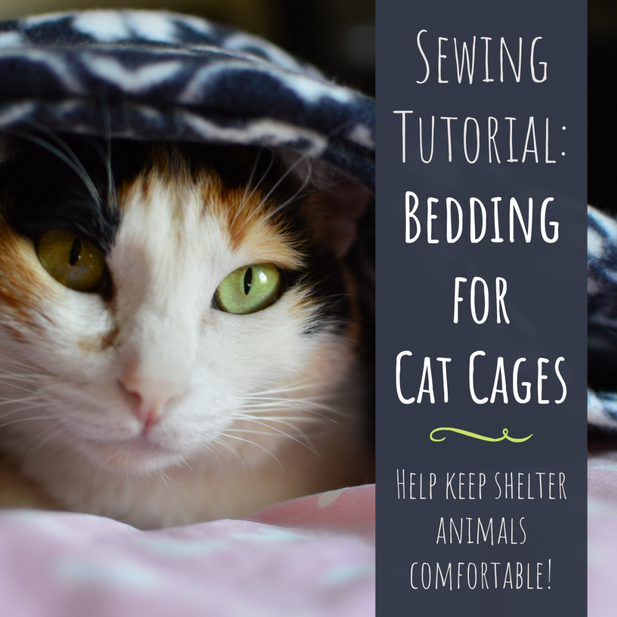 Learn how to sew cage mats or kennel pads to donate to animal shelters.