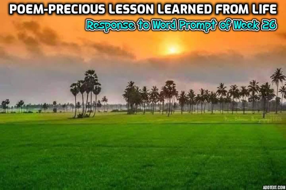 Poem-Precious Lesson Learned from Life- Response to Word Prompt of Week 26