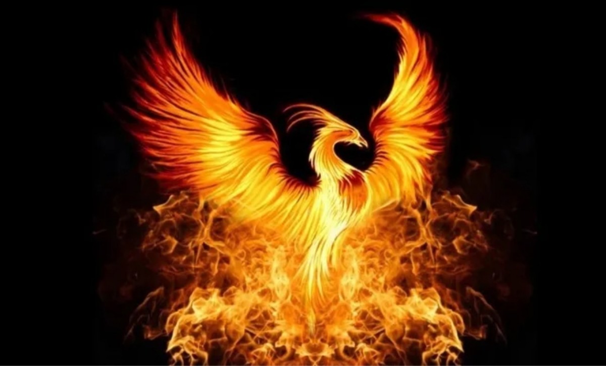 The Lord's Phoenix