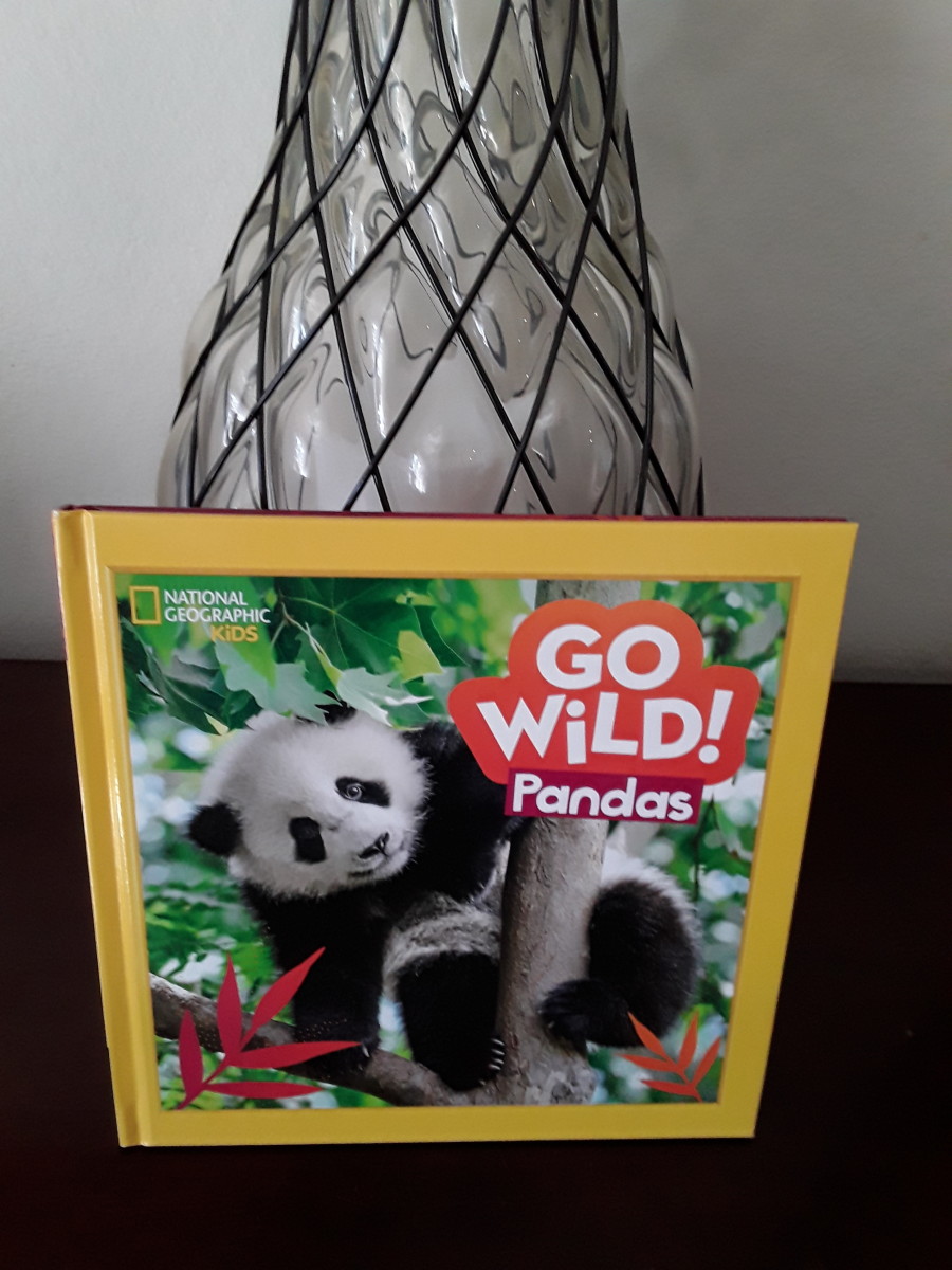 pandas-sea-turtles-and-fun-facts-about-our-oceans-in-collection-of-books-from-national-geographic-kids