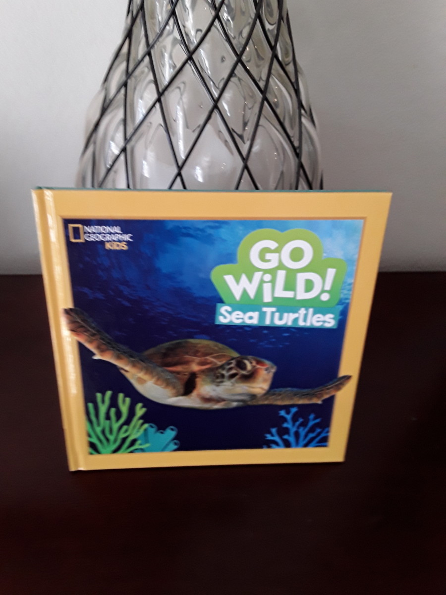 Pandas, Sea Turtles, and Fun Facts About Our Oceans in Collection of Books From National Geographic Kids