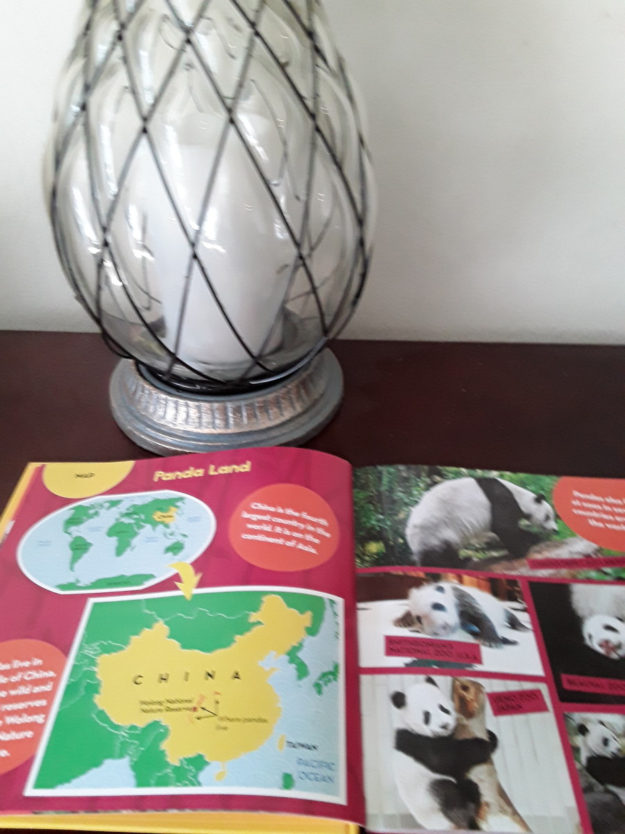 Pandas Sea Turtles And Fun Facts About Our Oceans In Collection Of Pandas Sea Turtles And Fun Facts About Our Oceans In Collection Of