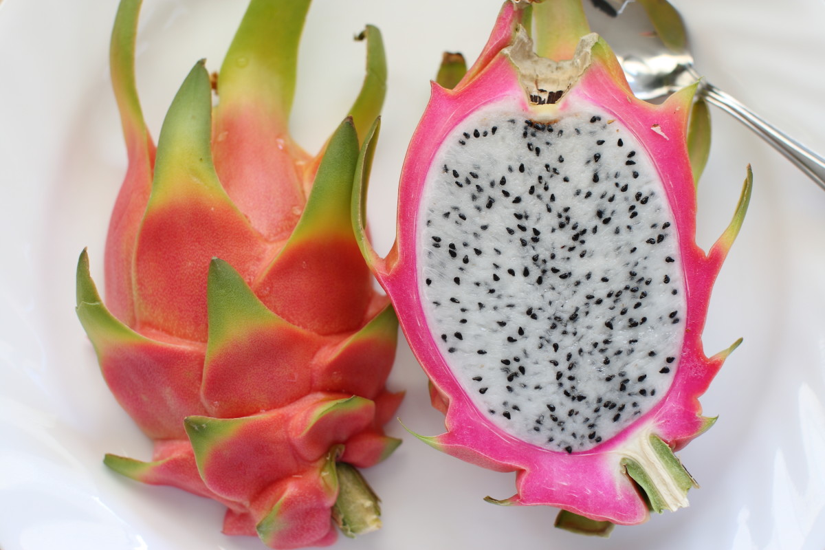  Pitahaya Fruit commonly known as Dragon Fruit.