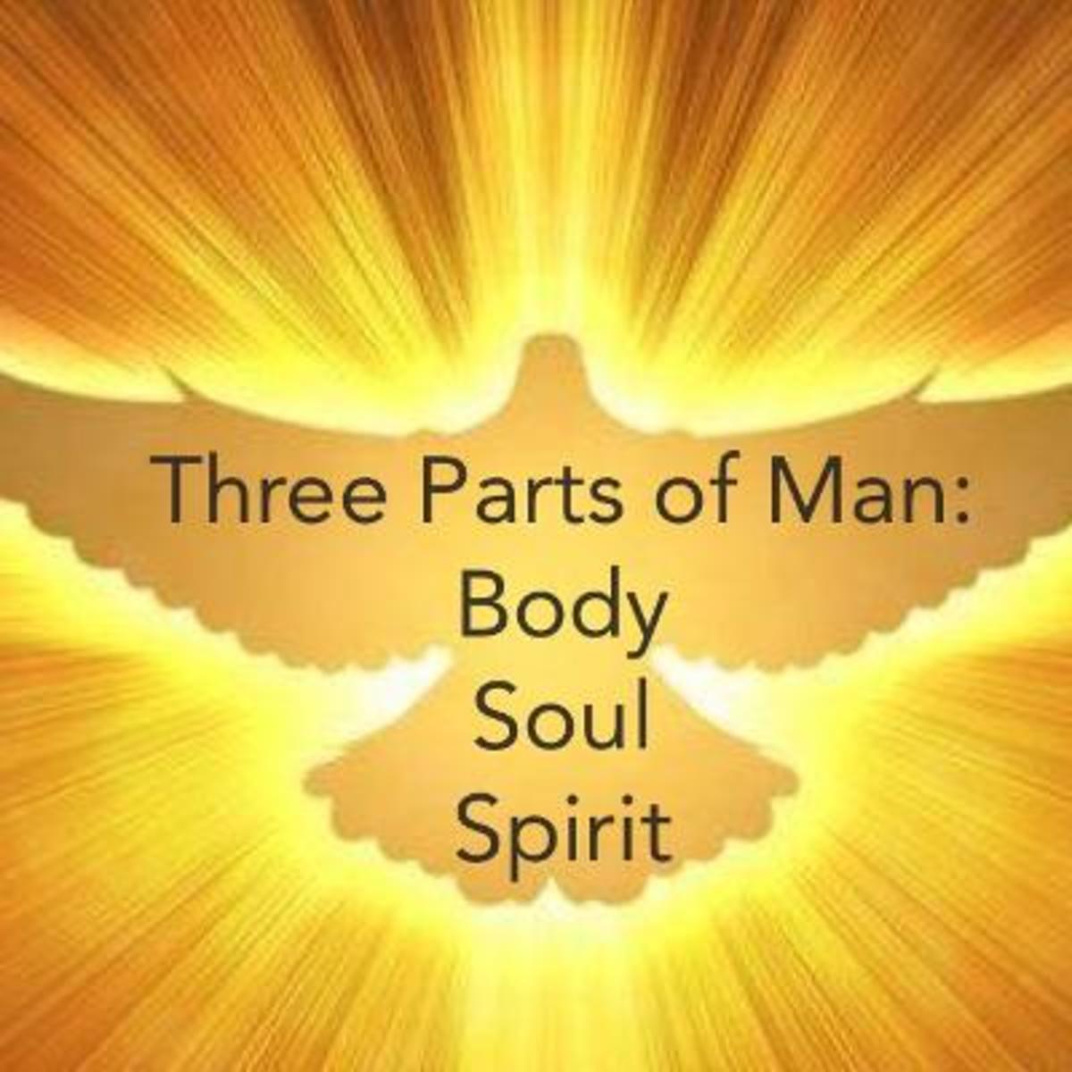 3 Parts Of Humans Body Soul And Spirit LetterPile